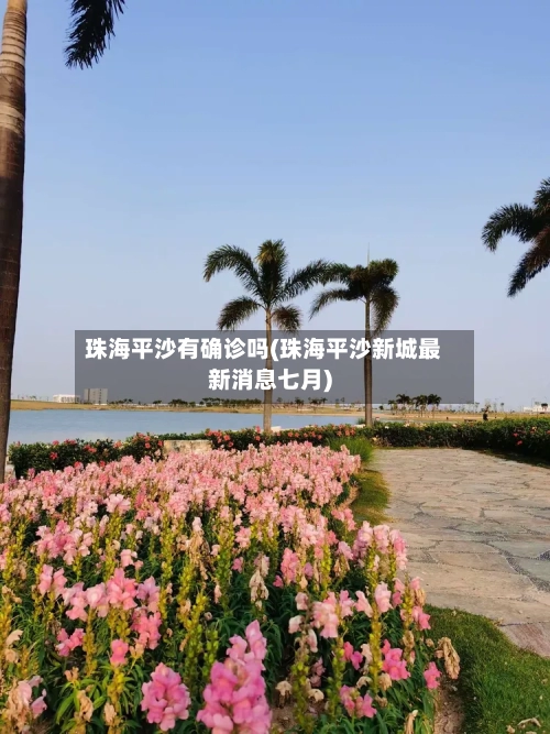 珠海平沙有确诊吗(珠海平沙新城最新消息七月)