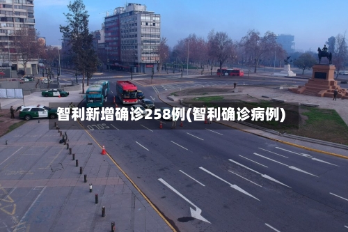 智利新增确诊258例(智利确诊病例)