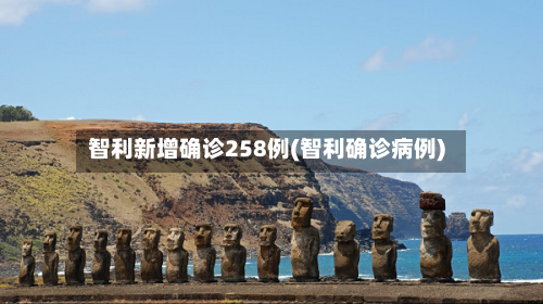 智利新增确诊258例(智利确诊病例)