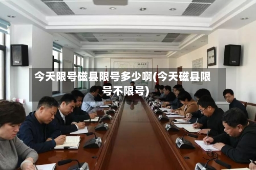 今天限号磁县限号多少啊(今天磁县限号不限号)