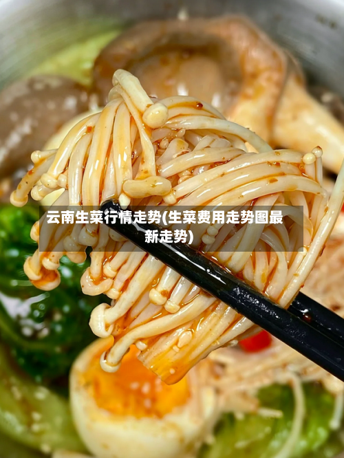 云南生菜行情走势(生菜费用走势图最新走势)