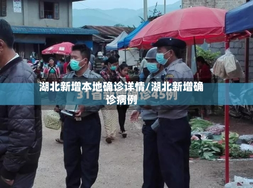 湖北新增本地确诊详情/湖北新增确诊病例