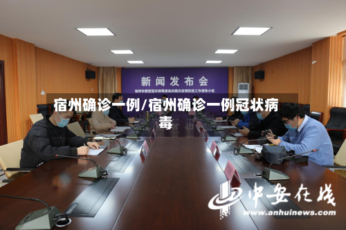 宿州确诊一例/宿州确诊一例冠状病毒