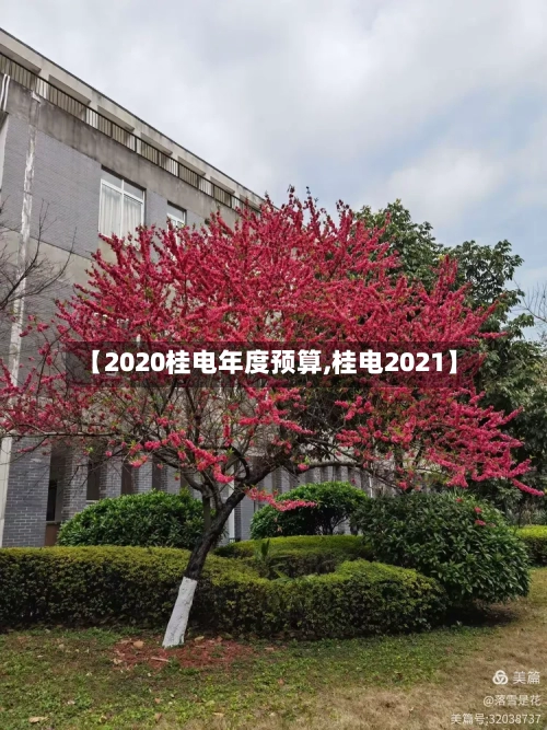 【2020桂电年度预算,桂电2021】