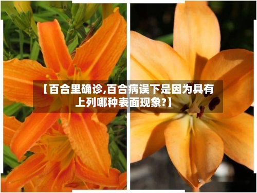 【百合里确诊,百合病误下是因为具有上列哪种表面现象?】