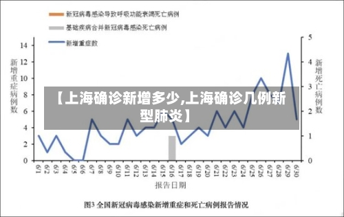 【上海确诊新增多少,上海确诊几例新型肺炎】