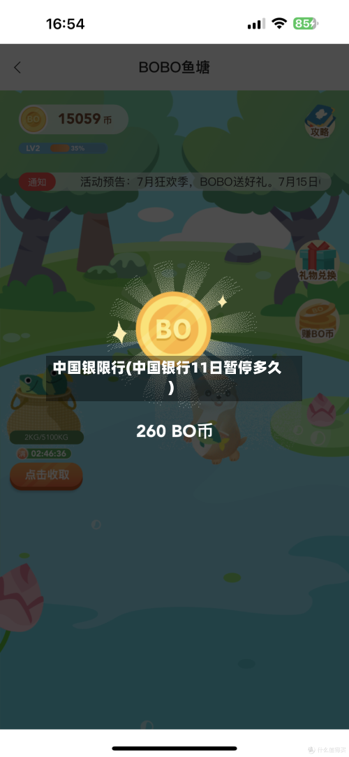 中国银限行(中国银行11日暂停多久)