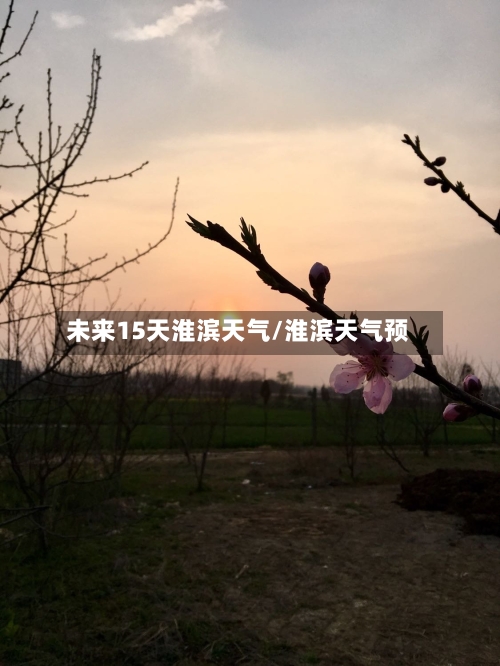 未来15天淮滨天气/淮滨天气预