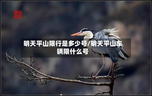 明天平山限行是多少号/明天平山车辆限什么号