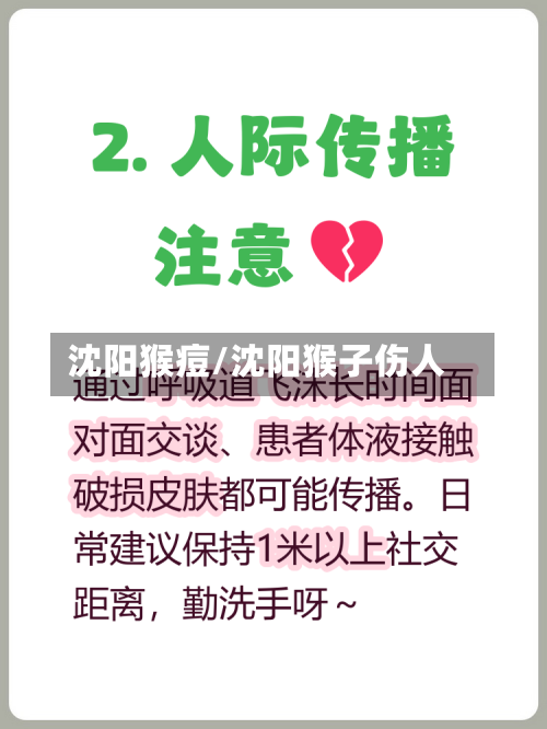 沈阳猴痘/沈阳猴子伤人