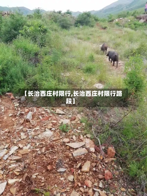 【长治西庄村限行,长治西庄村限行路段】