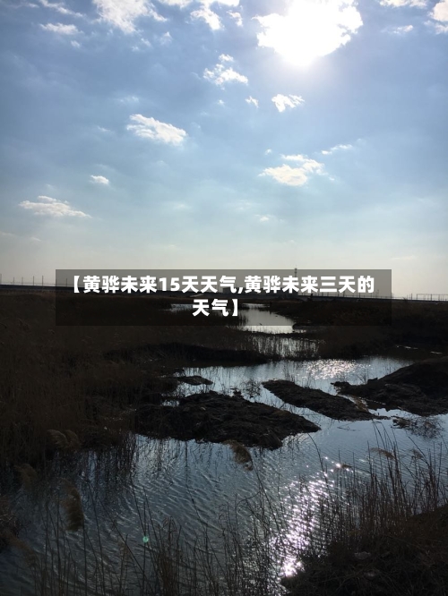 【黄骅未来15天天气,黄骅未来三天的天气】