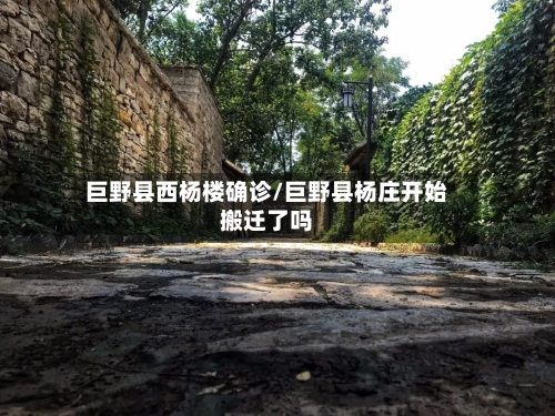 巨野县西杨楼确诊/巨野县杨庄开始搬迁了吗