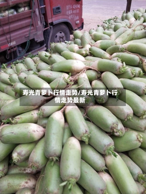 寿光青萝卜行情走势/寿光青萝卜行情走势最新