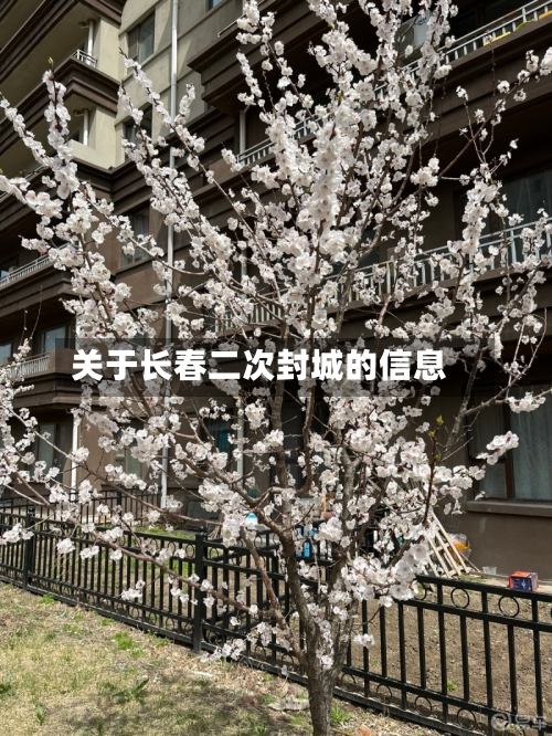 关于长春二次封城的信息