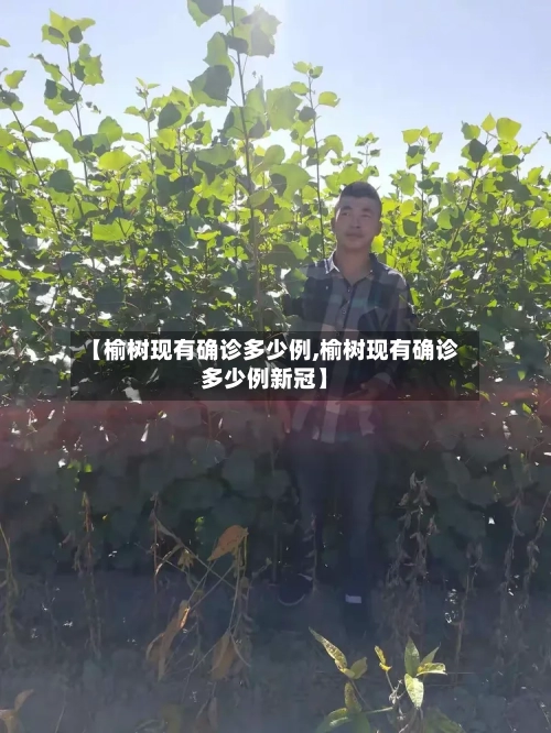 【榆树现有确诊多少例,榆树现有确诊多少例新冠】