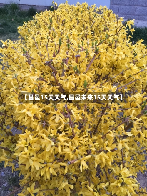 【昌邑15天天气,昌邑未来15天天气】