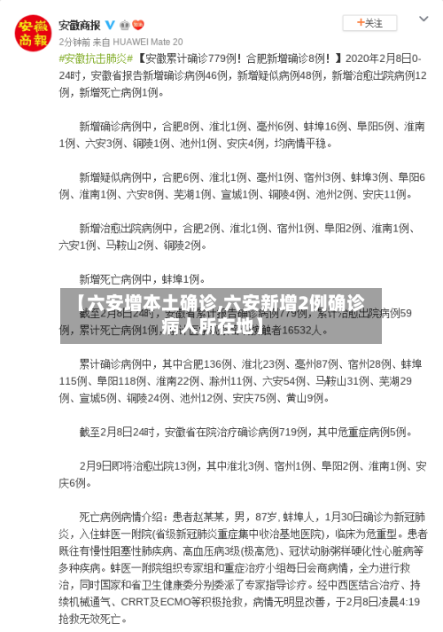 【六安增本土确诊,六安新增2例确诊病人所在地】