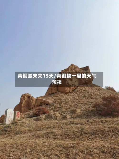 青铜峡未来15天/青铜峡一周的天气预报