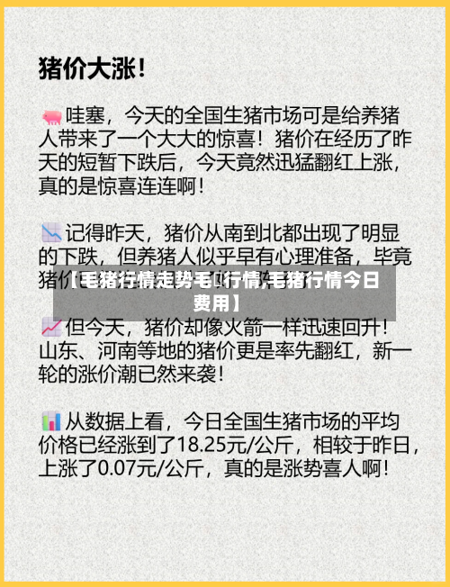 【毛猪行情走势毛豬行情,毛猪行情今日费用】