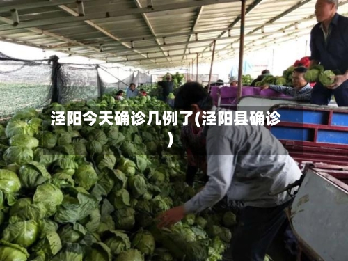 泾阳今天确诊几例了(泾阳县确诊)