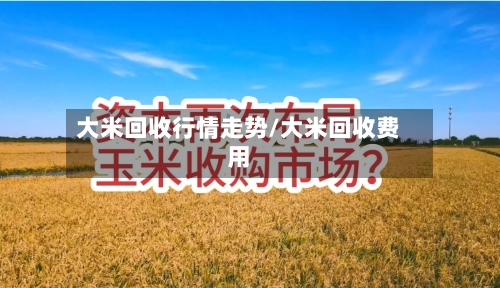 大米回收行情走势/大米回收费用