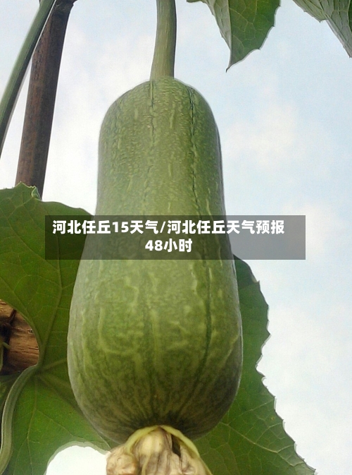 河北任丘15天气/河北任丘天气预报48小时