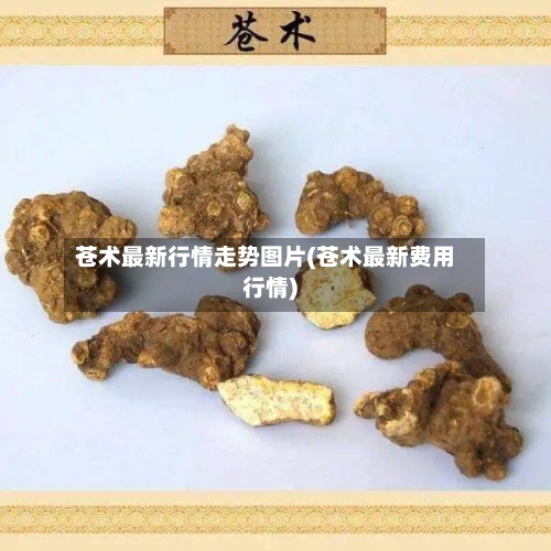 苍术最新行情走势图片(苍术最新费用行情)