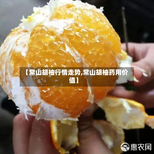 【常山胡柚行情走势,常山胡柚药用价值】