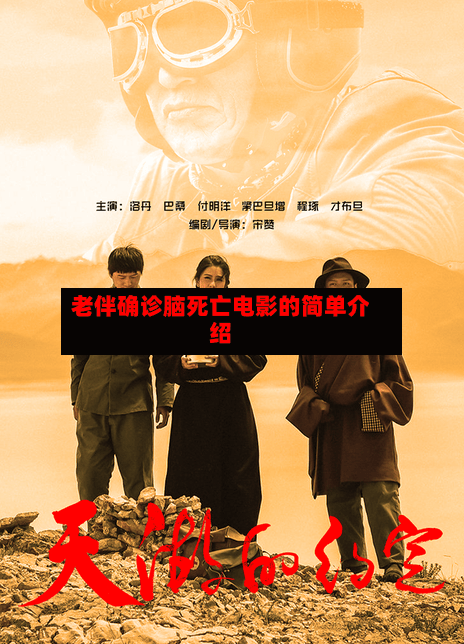 老伴确诊脑死亡电影的简单介绍