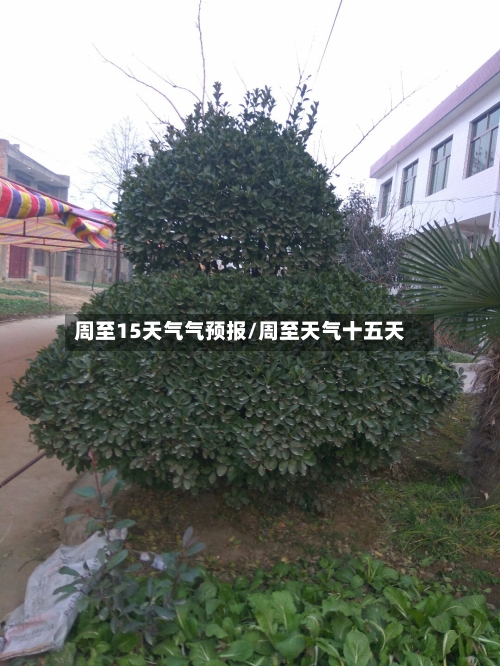 周至15天气气预报/周至天气十五天