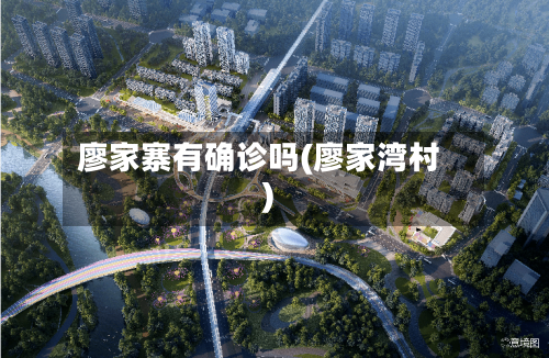 廖家寨有确诊吗(廖家湾村)