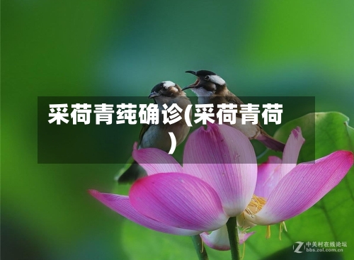 采荷青莼确诊(采荷青荷)