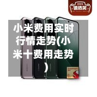 小米费用实时行情走势(小米十费用走势)