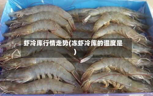 虾冷库行情走势(冻虾冷库的温度是)