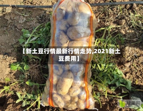 【新土豆行情最新行情走势,2021新土豆费用】