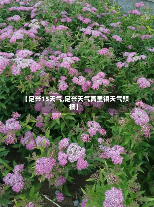 【定兴15天气,定兴天气高里镇天气预报】