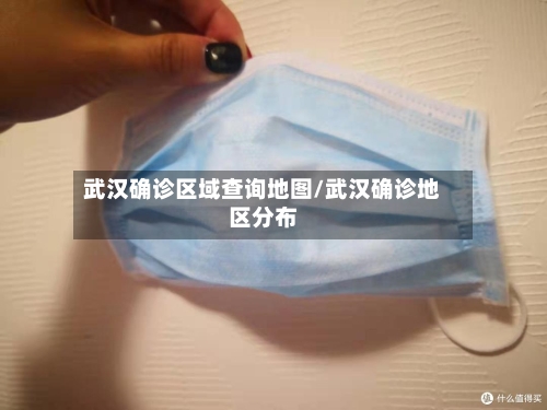 武汉确诊区域查询地图/武汉确诊地区分布