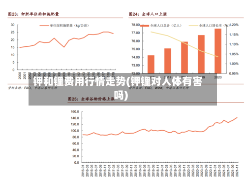 钾和锂费用行情走势(钾锂对人体有害吗)