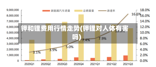 钾和锂费用行情走势(钾锂对人体有害吗)