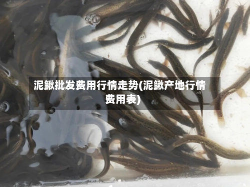 泥鳅批发费用行情走势(泥鳅产地行情费用表)