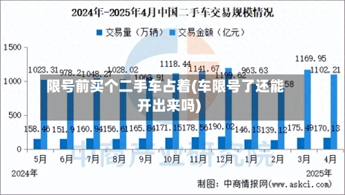限号前买个二手车占着(车限号了还能开出来吗)
