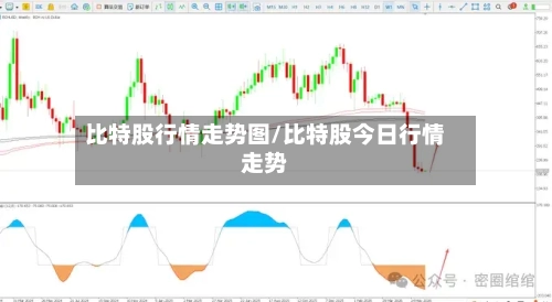 比特股行情走势图/比特股今日行情走势