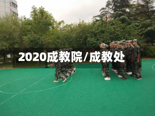 2020成教院/成教处