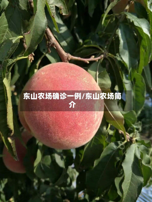东山农场确诊一例/东山农场简介