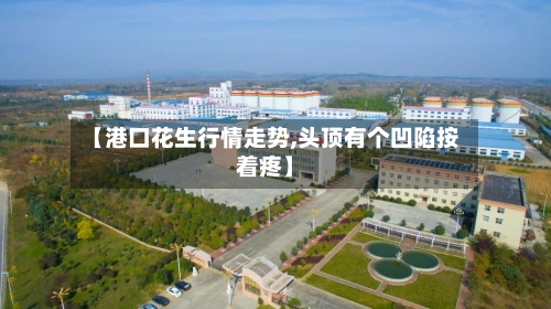 【港口花生行情走势,头顶有个凹陷按着疼】
