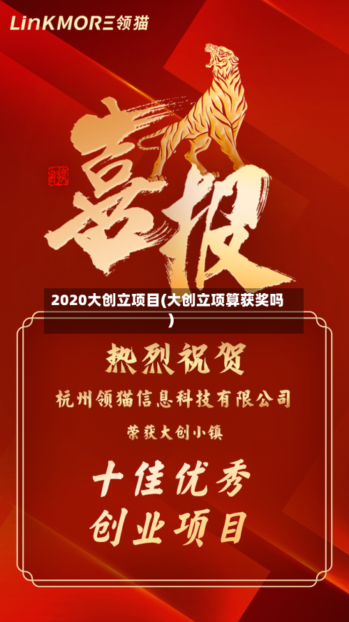 2020大创立项目(大创立项算获奖吗)
