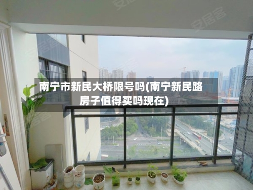 南宁市新民大桥限号吗(南宁新民路房子值得买吗现在)