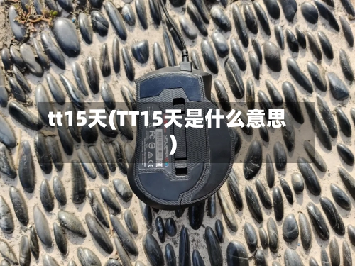 tt15天(TT15天是什么意思)