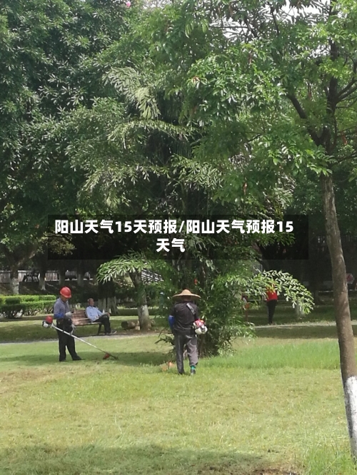 阳山天气15天预报/阳山天气预报15天气